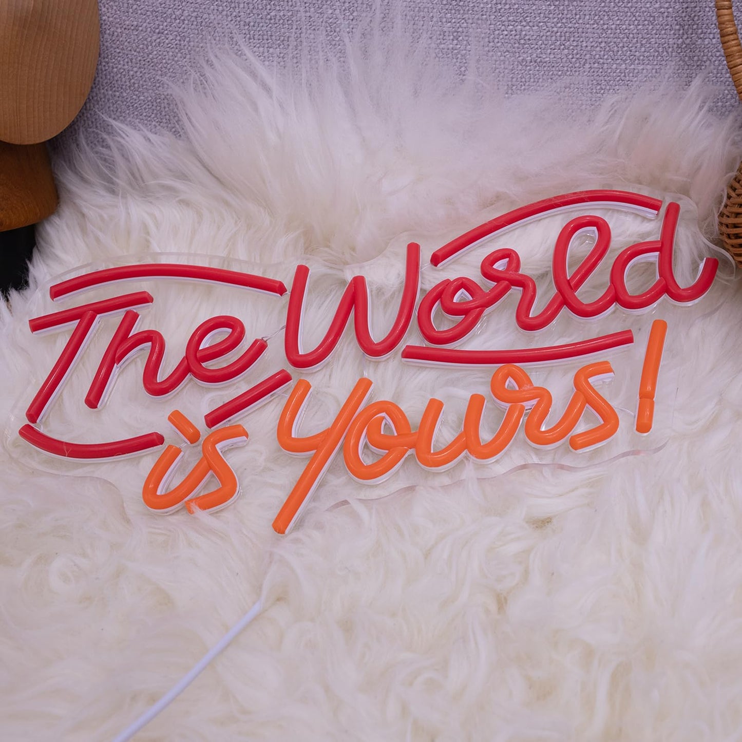 The World is Yours Neon Sign, Dimmable LED Neon Signs for Wall Decor, USB Powered Neon Light Sign Wall Art for Bedroom Christmas Party Classroom, Postive Aesthetic Decoration 14.17 x 7.09"