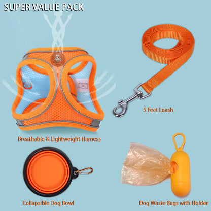 LMOBXEVL Small Dog Harness,Puppy Harness and Leash Set for Walking Escape Proof,Comfortable Air Mesh Dog Vest Harness with Reflective Strip, Step-in Outdoor Pet Vest for Dog Breeds
