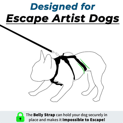 Wuffley Escape Proof Dog Harness and Leash Set, Lightweight Dog Harness with Lift and Assist Handle, No Pull Reflective Pet Vest for Small Medium Dogs, Ideal for Puppy Walking and Training (Black,XS)