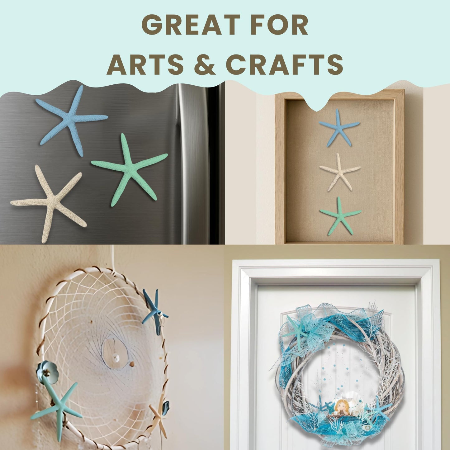 Starfish Decor - Star Fish for Craft - 10pk Real 2-4" Green Blue White Sea Stars - Beach Wedding Decor - Coastal Party Decorations