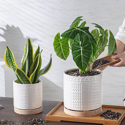 Indoor-Outdoor Ceramic Plant Pots: 6 Inch Flower Pots with Drainage Hole & Saucer - Decorative Ceramic Pots for Plants Herbs Succulents - Home Garden Patio Lawn Use (White)