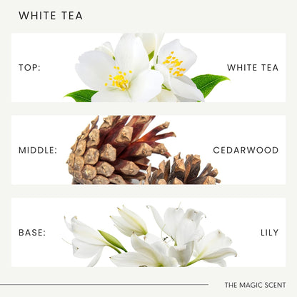 The Magic Scent Mandarin Blossom Diffuser Oil - Cold-Air & Ultrasonic Scented Oils for Diffuser Inspired by St. Regis Hotel, Maldives - Essentiala Oils for Diffusers Aromatherapy 10 ml