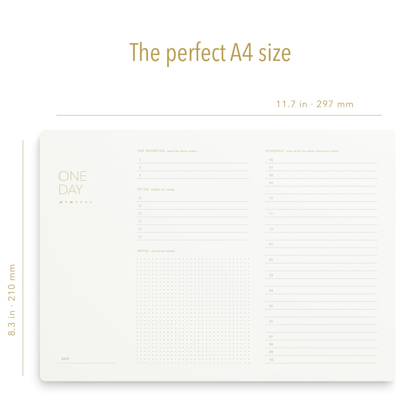 Pinesman - One Day, Elegant Daily Desk Planner, Gold Foiled, Minimalist Productivity Planner Pad, Time Blocking Hourly Schedule, To Do List Notepad, A4, 52 Pages, FSC™ Certified