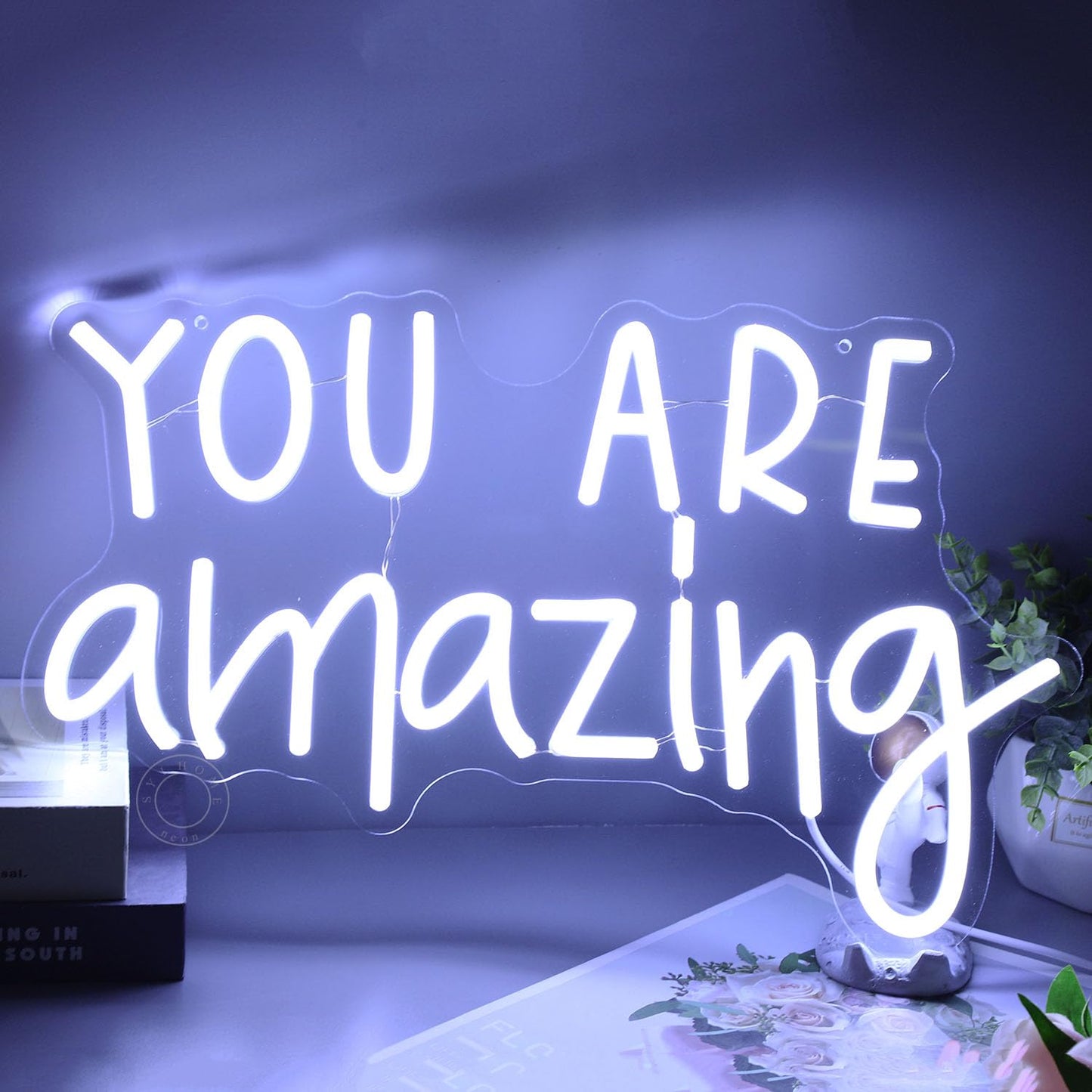 SYLHOME You Are Amazing LED Neon Light Sign 5V Girls Boys Bedroom Living Room Classroom Wall Decor Sign Hanging Smart Kid Birthday Decoration USB 16.9" X 10.6" Cold White