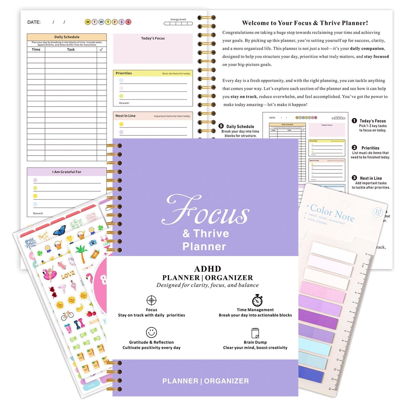 ADHD Daily Planner for Neurodivergent Adults - Focus & Thrive Planner, Undated Task Management Organizer, Productivity Planners for Women to Stay Organized - Larger Size 7 * 10in (Purple)