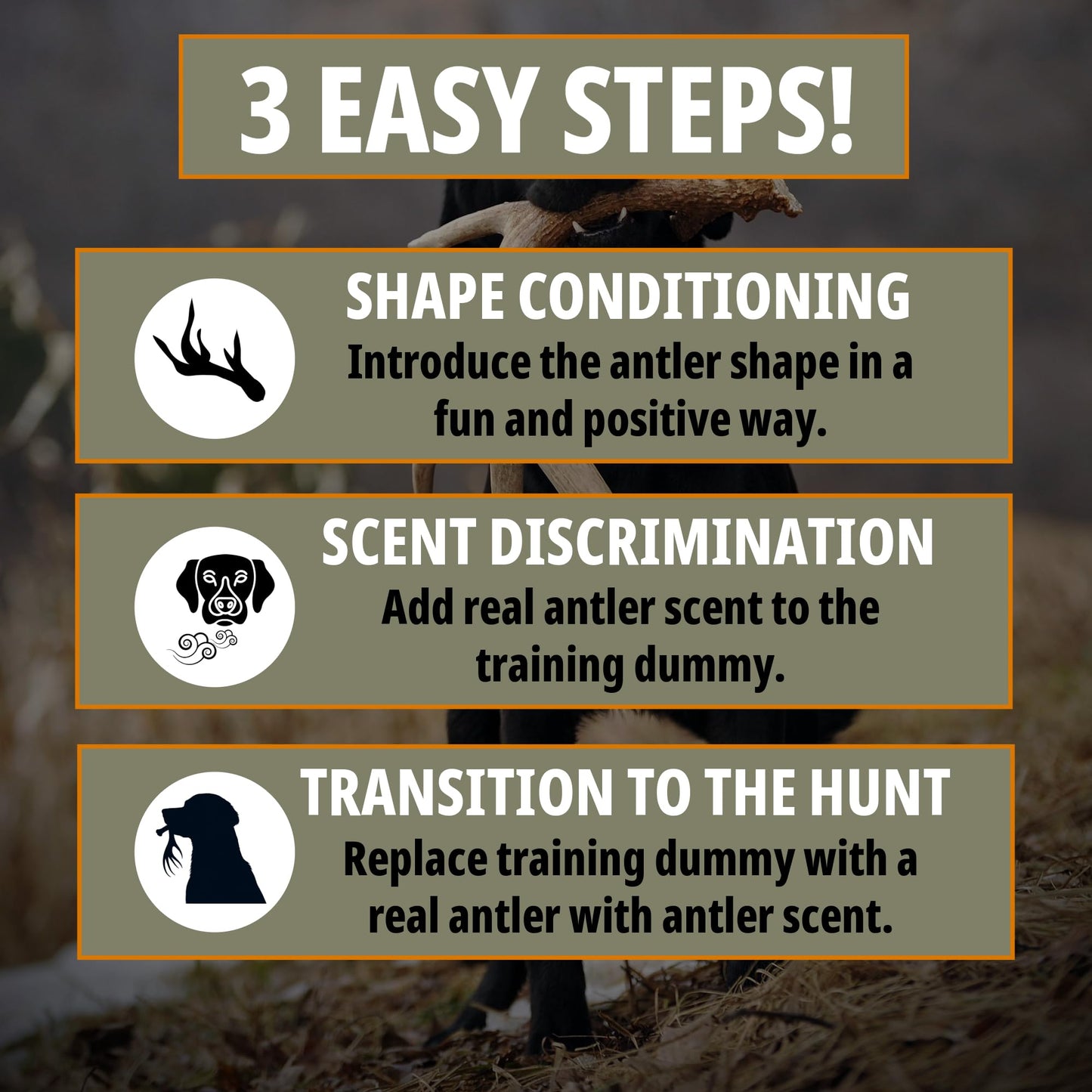 DogBone Shed Dog Training Instructional DVD (3+ Hours) | Dog Training Kit | Hunting Dog Accessories | Dog Scent Training Kit | Deer Hunting Accessories | Dog Training Tools