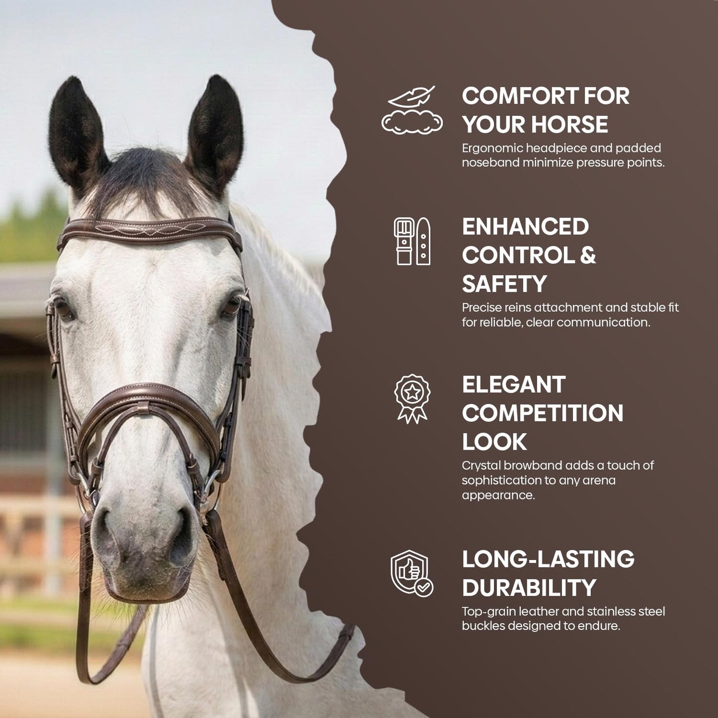 Equine Care English Horse Bridle with Reins – Fancy-Stitched, Padded Comfort Crown & Noseband, Vegetable-Tanned Leather, Stainless Steel Fittings, Full Size Hunter Jumper Tack