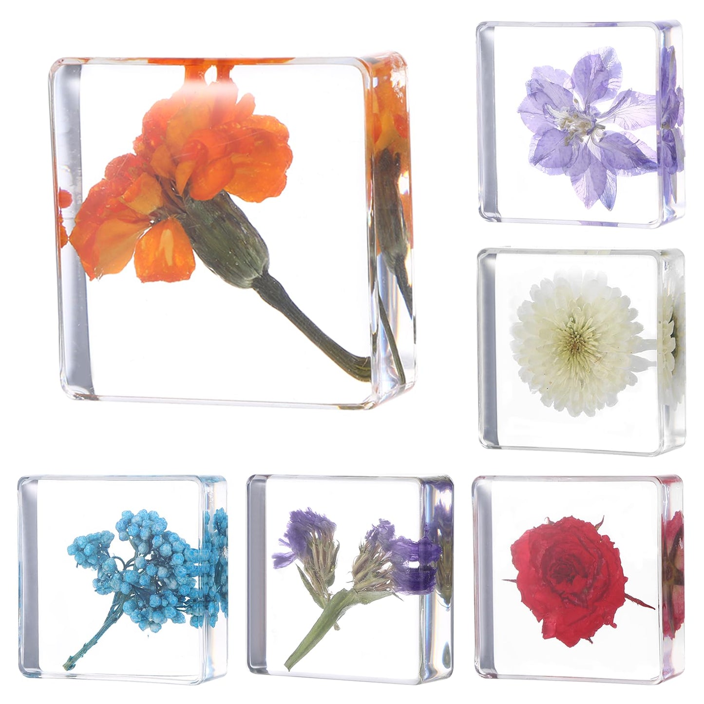6Pcs Pressed Flower Paper Weights, Real Flower Resin Crafts, Pattern Weights, Paper Weights Decorative,Pressed Flower Ornament,Paper Weights for Office Desk,Specimen Collection for Science Educational