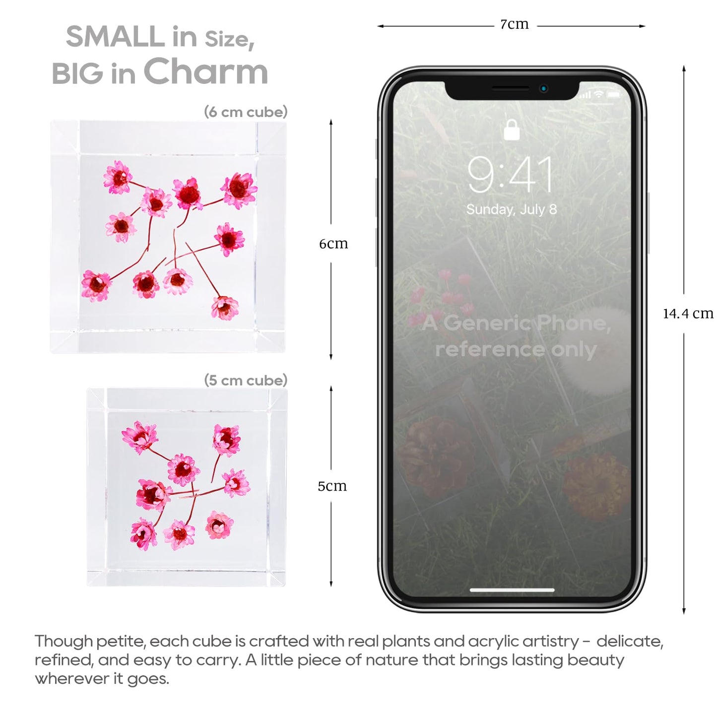 Bon Cube Acrylic Cube Paperweight with Decorative 3D Preserved Flowers, 1.97'' Cube 7.0 oz, Pink Real Starflowers (Resembles Daisy), Aesthetic Desk Shelf Decor and Good Luck Gift for Her