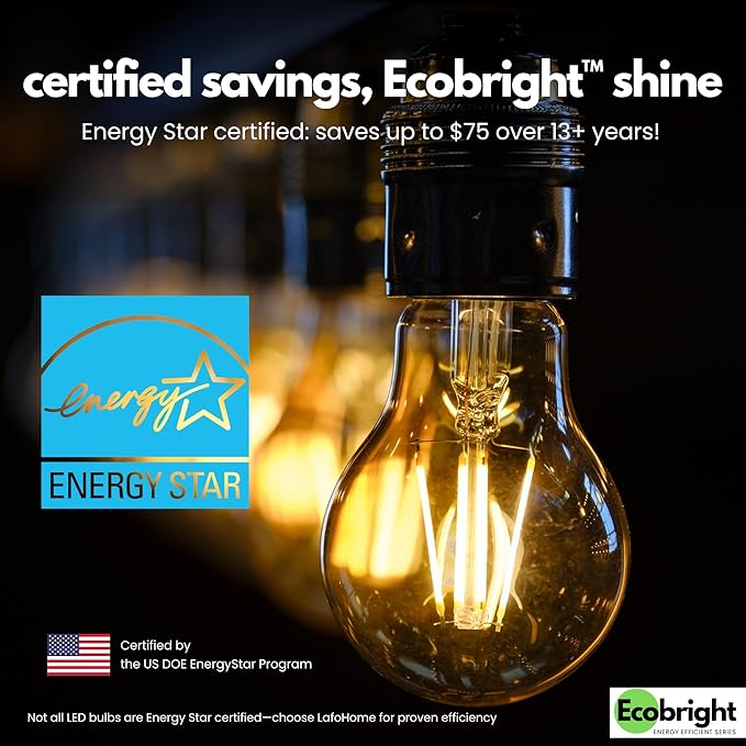 EcoBright 12PK Dimmable A19 LED Filament Bulb, 10W (100W Equivalent), E26 Base, 1100 Lumens, CRI90+, Flicker-Free Clear Glass, Energy Star Title 20, Warm White 2700K