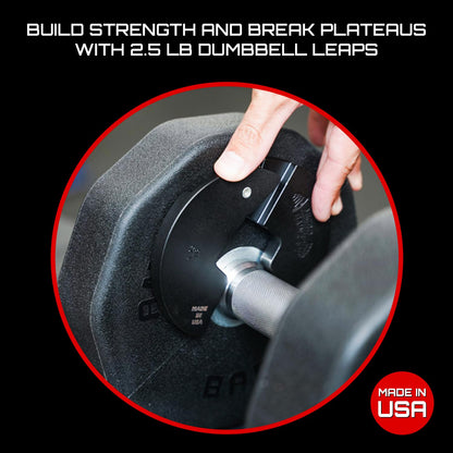 Micro Gainz 1LB Dumbbell Fractional Weight Plates 2 or 4 Piece- Designed for Dumbbell Training and Micro Loading, Made in USA (2 Piece)