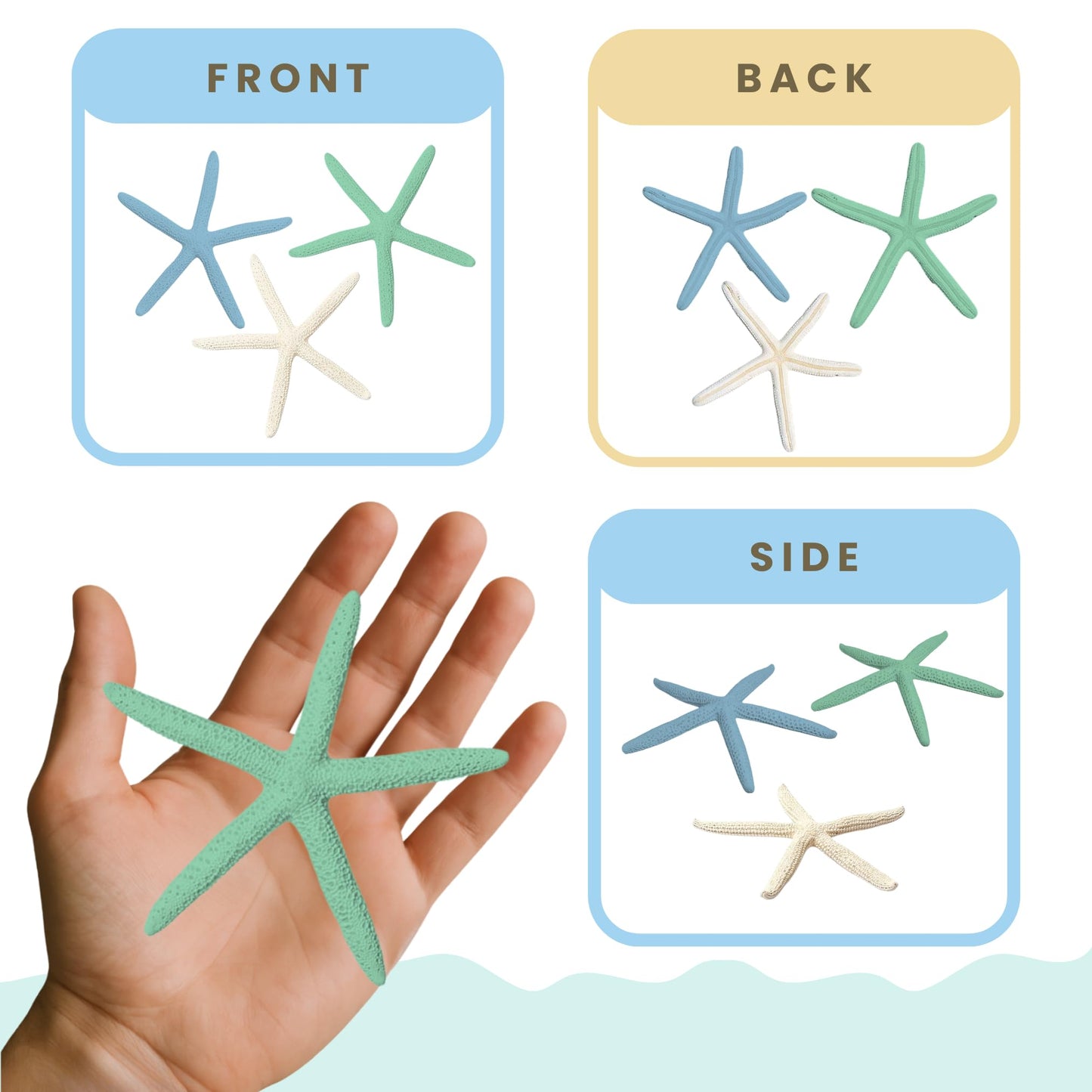 Starfish Decor - Star Fish for Craft - 10pk Real 2-4" Green Blue White Sea Stars - Beach Wedding Decor - Coastal Party Decorations