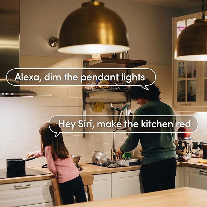 BR30 Smart Light