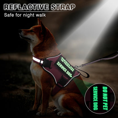 MOOGROU Service Dog Vest Harness and Leash Set+10 Patches,No Pull&Easy Walk Reflective Dog Harness with Soft Padded Handle for Training/Everyday,Fit Small/Medium/Large/Extra-Large Dogs(Pink S)