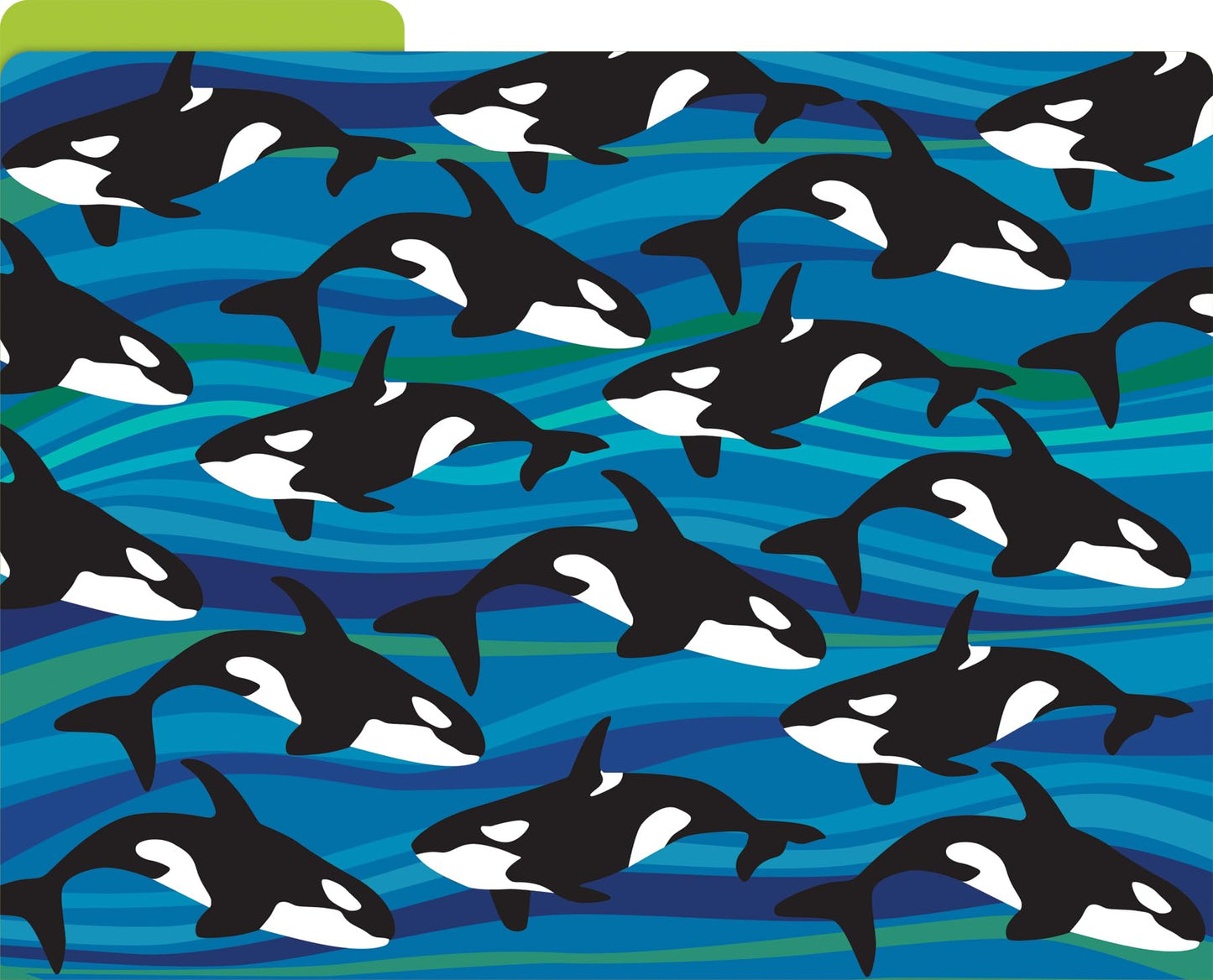 Barker Creek Sea & Sky File Folders Now on Durable 14pt Stock, 12/PK, Letter Size, 1/3 Cut Tabs, Reversible, Home, School and Office Supplies (2015)