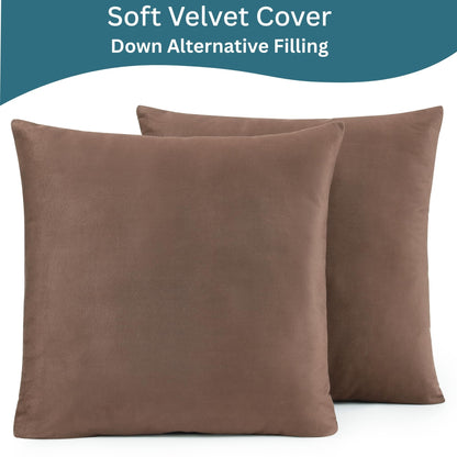 LANE LINEN Throw Pillow Insert - Pack of 2 16x16 Pillow Inserts for Decorative Pillow Covers, Throw Pillows Insert for Couch - White