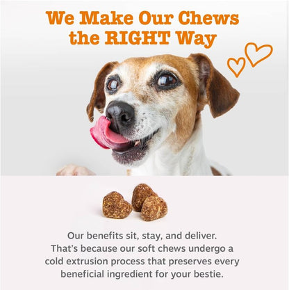 Zesty Paws Dog Multivitamin - Chewable Vitamins for Hip & Joint Health | Chicken Flavor, 90 Count