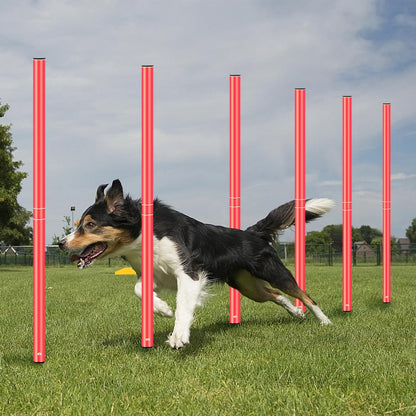 HOTOOLME Soccer Agility Training Poles Set Soccer Training Equipment- Includes 6 Agility Poles,Agility Ladder, 10 Soccer Cones,Jump Rope for Speed Training, Soccer Training, Basketball Athletes & Kids