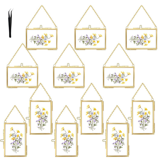 12 Pcs Double Glass Frame for Pressed Flowers,Floating Hanging Photo Christmas Ornaments Frame Brass Frames with Chain for Wall Display Gallery Artwork,Clear Vertical Horizontal Display for Botanical Art,Picture,Stamps,Gallery Decor,Gold