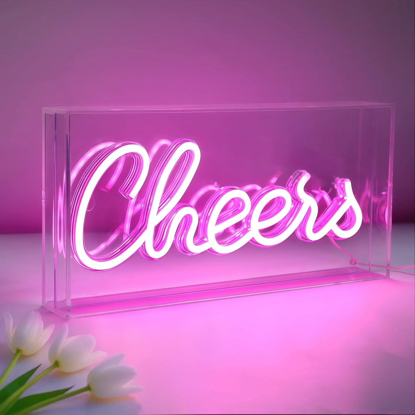 HOSITARK Cheers Neon Sign, USB LED Desk Lightbox Cheers Sign with ON/OFF Switch, 3D Neon Light up Sign for Table Decor, Wall Decor, Bar, Pub, Bachelorette Party (Pink)