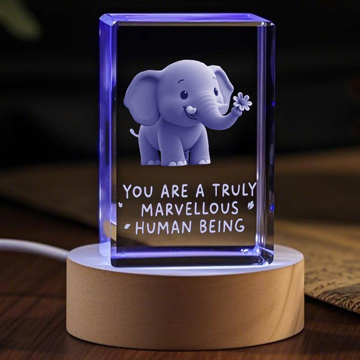 YouerCrystal Elephant Gifts for Women, Friendship Gifts for Women Best Friends Sisters, Birthday Gift, 3D Elephants Decor Crystal Figurine Night Light