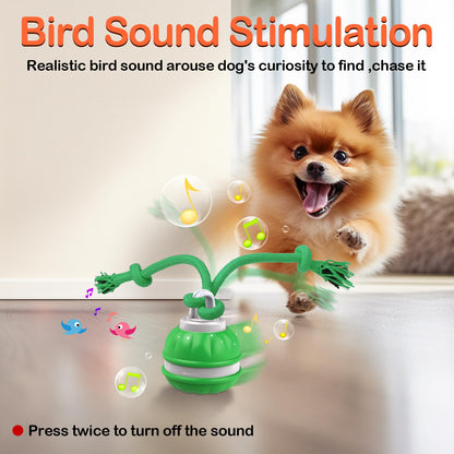 Salodal Interactive Dog Toys Rolling Ball for Puppy/Small Dogs,Peppy Pet Ball for Dogs,Motion Activate,Automatic Moving Dog Toy,USB Rechargeable