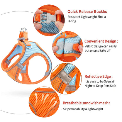 LMOBXEVL Small Dog Harness,Puppy Harness and Leash Set for Walking Escape Proof,Comfortable Air Mesh Dog Vest Harness with Reflective Strip, Step-in Outdoor Pet Vest for Dog Breeds