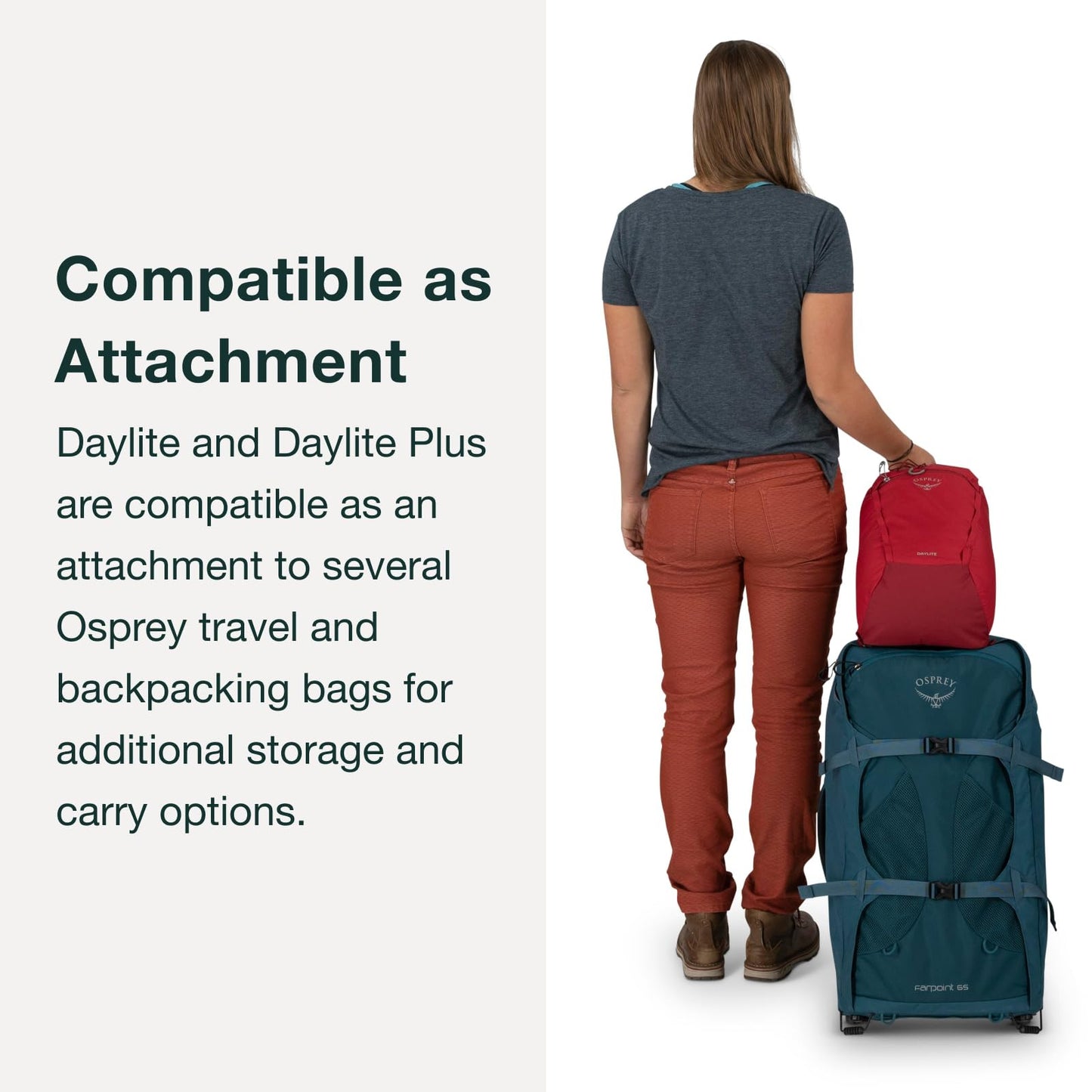 Osprey Daylite Plus Commuter Backpack - Lightweight, Everyday Pack with Laptop Sleeve and Water Bottle Pockets - Ideal for Work, School, and Travel with Versatile Storage, Cascade Blue/Latte Brown