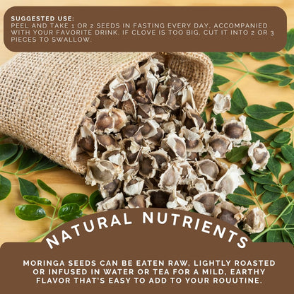 Green Royalty Moringa Seeds (350 + Count) – 100% Natural Non-GMO Herbal Seeds – Nutrient-Rich Superfood for Daily Balance – Sugar Free, Caffeine Free, Gluten Free – 2-Month Supply