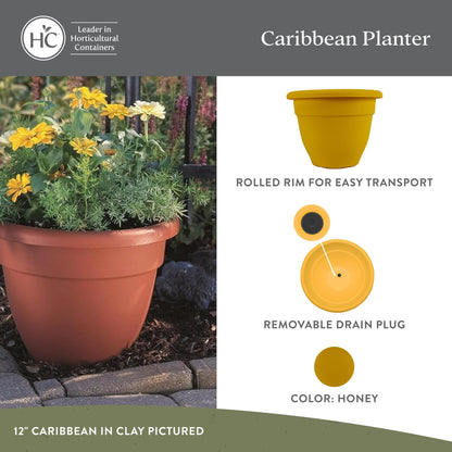 The HC Companies Caribbean Planter Pot - Outdoor & Indoor Plant Pot with Drainage Hole & Plug - Rolled Rim Plastic Pots for Plants & Flowers - Decorative Plant Pot (8" Honey, Pack of 1)