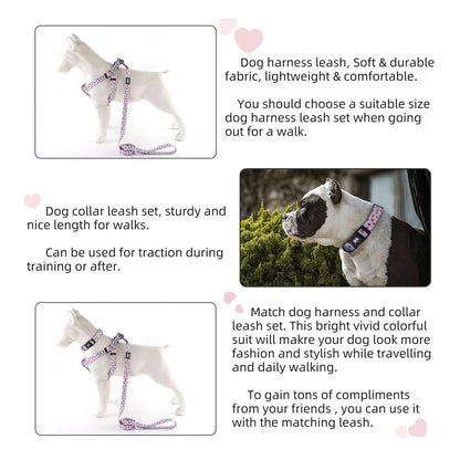 QQPETS Dog Harness Collar Leash - No Pull Pet Adjustable Back Clip Halter Basic Collar Heavy Duty 5FT Anti-Twist Leash for Extra Small Puppy Medium Large Breed Training Easy Walk(S,Blue Love)