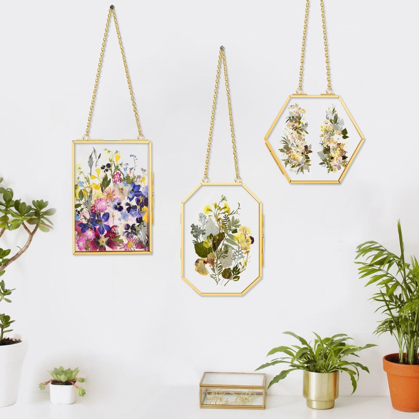 FOCHIER F 3pcs Pressed Flower Frames FC-US-Frames-T3-0108GoldHua