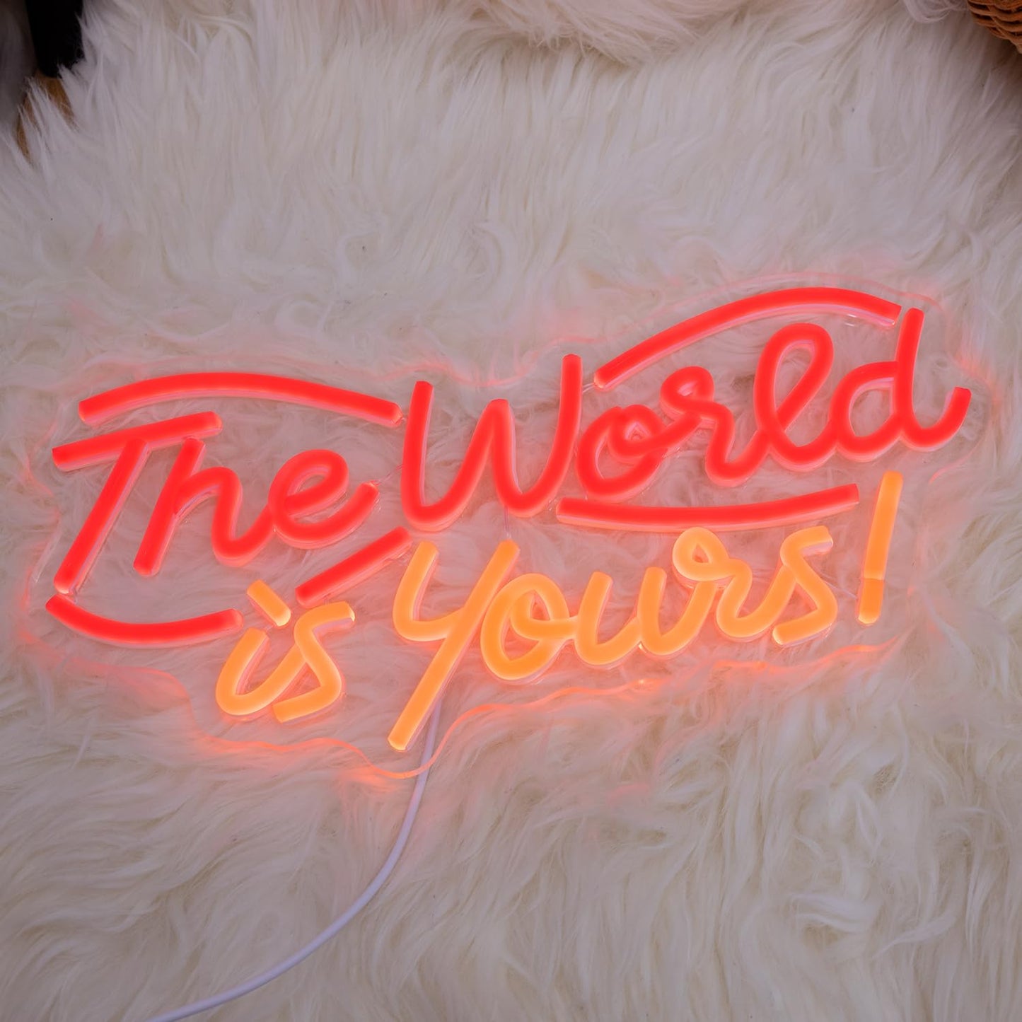 The World is Yours Neon Sign, Dimmable LED Neon Signs for Wall Decor, USB Powered Neon Light Sign Wall Art for Bedroom Christmas Party Classroom, Postive Aesthetic Decoration 14.17 x 7.09"