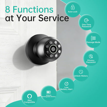 Fingerprint Door Lock - Smart Door Knob, Biometric Door Lock with Keypad Passcode Door Handle for Bedroom Home Office (Black)