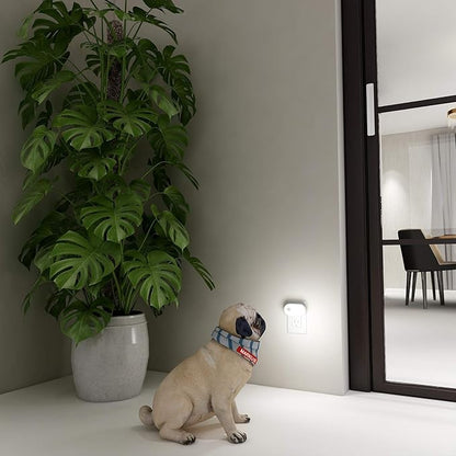Lyridz Plug in Night Light with Motion Sensor, Smart Cool White LED Nightlights with 1-120LM Stepless Adjustable Brightness for Bathroom, Bedroom, Kitchen, Stairs, Hallway, 6 Pack
