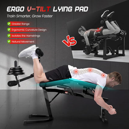 ANCHEER Leg Extension and Curl Machine, Adjustable Leg Workout Machine for Lower Body Training, 880LB Capacity Plate Loaded Leg Developer for Quads, Hamstrings & Glutes, Home Gym Equipment (Black)
