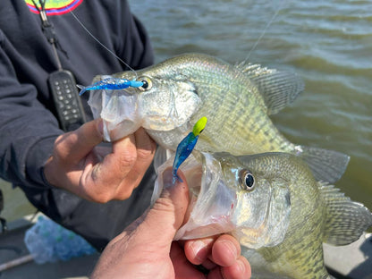 Bobby Garland Live Roam'R - Bleeding Shad - 1.75"