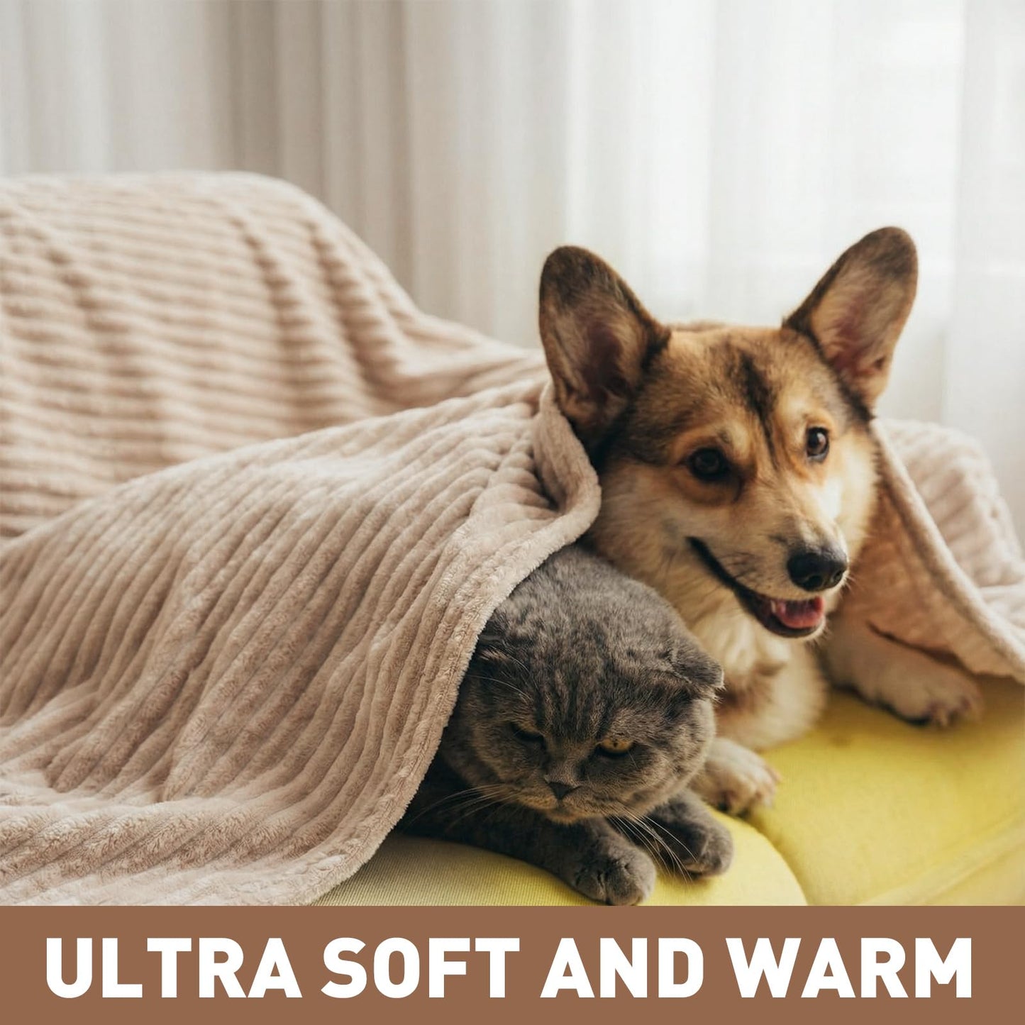 Buryeah 50 x 60 Inches Fleece Throw Blanket Soft Cute Warm Plush Flannel Fluffy Blankets for Wedding Sofa Couch Bed Seasons Employee Appreciation Gifts Bulk(Dark-Brown, Brown, Light Brown,6 Pack)