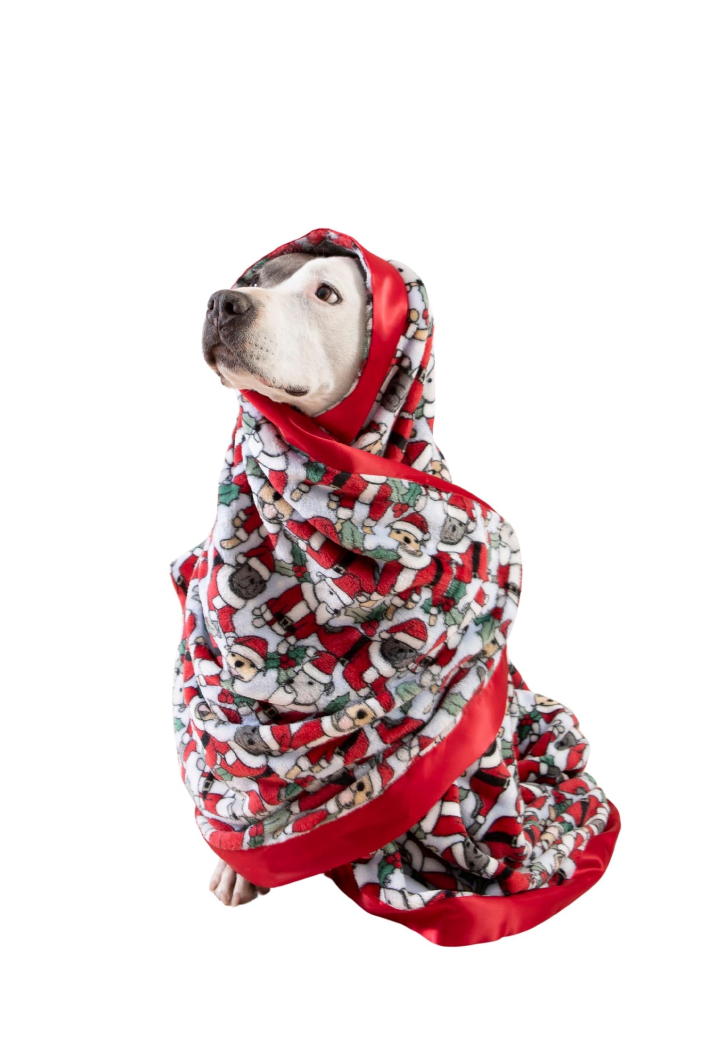 Darren & Phillip Santa Paws Blanket - Ultra-Soft Blankets Made with Plush Fleece - Perfect as a Dog Bed Blanket or for Cuddling with Your Pup - Ultra-Snuggly Blankets for Dogs & Humans