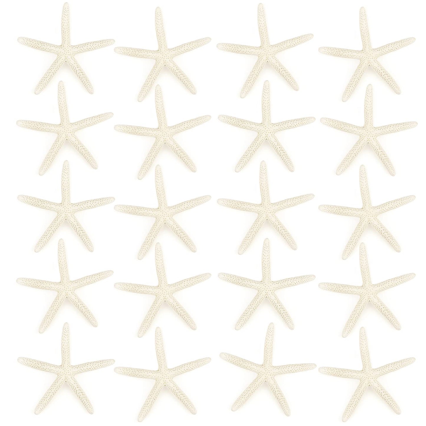 Jangostor 20 PCS Starfish, 2.5" to 4" Natural Seashells Starfish Star Fish Shells Decorations White Starfish Ornaments Perfect for Wedding Beach Theme Party Home Decorations, DIY Crafts, Fish Tank