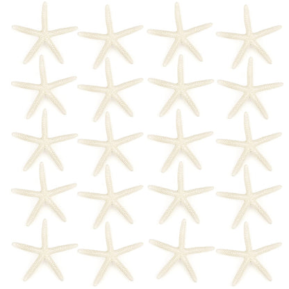 Jangostor 20 PCS Starfish, 2.5" to 4" Natural Seashells Starfish Star Fish Shells Decorations White Starfish Ornaments Perfect for Wedding Beach Theme Party Home Decorations, DIY Crafts, Fish Tank