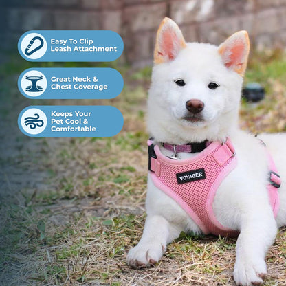 Voyager Step-in Lock Pet Harness - All Weather Mesh, Adjustable Step in Harness for Cats and Dogs by Best Pet Supplies - Pink, M