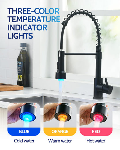 Kitchen Faucet with Pull Down Sprayer, High Arc Single Handle Stainless Steel Kitchen Sink Faucet with Sprayer for Rv Camper, Matte Black