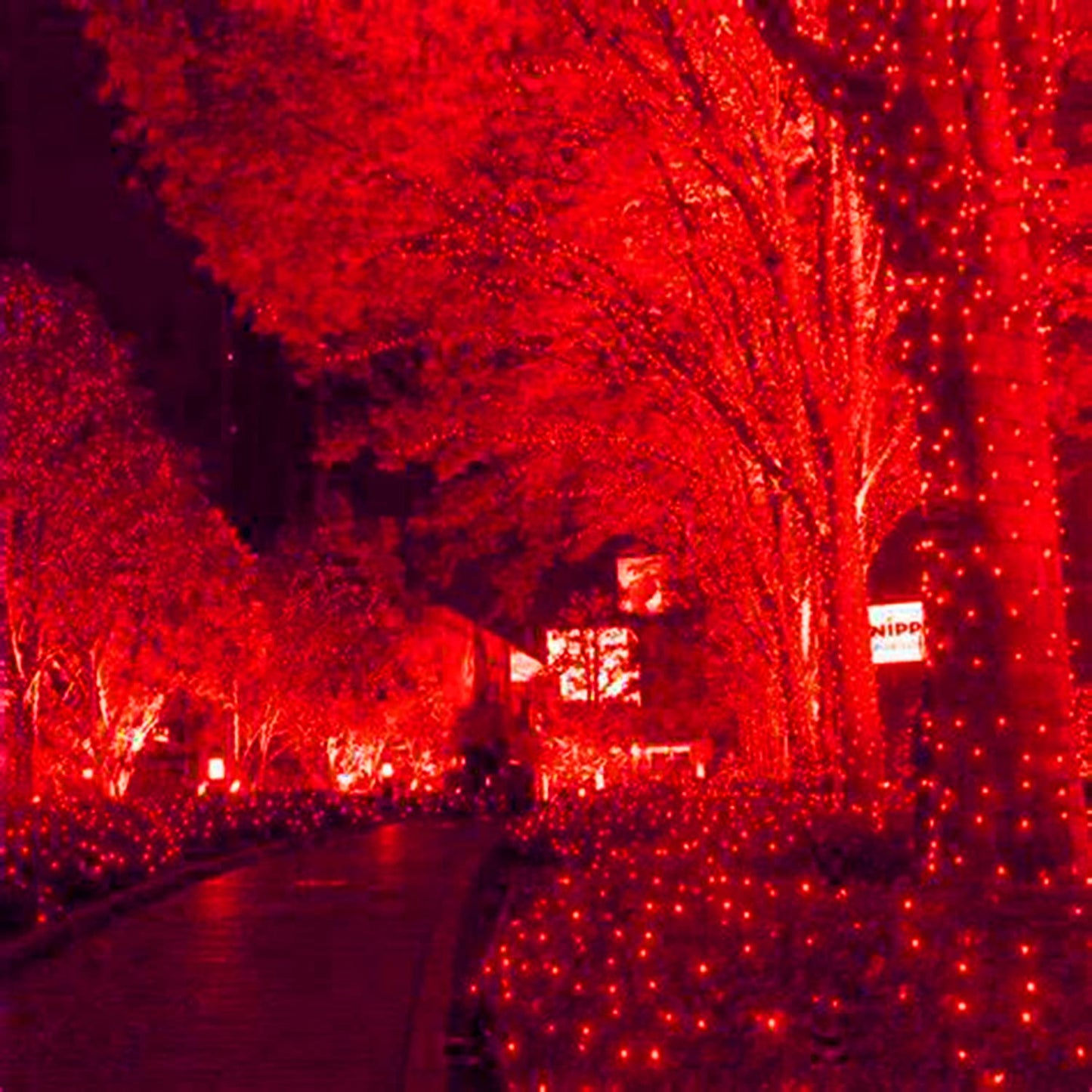 HISHINY LED Red Christmas Net Lights Outdoor,5ftx5ft 100LED Green Wire, Connectable Indoor Outdoor Bush Mesh Net Lights String for Valentines Day Decor,Shrub,Yard,Tree（Red）