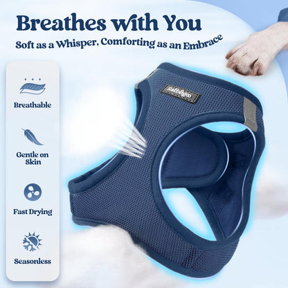 rabbitgoo Dog Harness Small Sized and Leash Set, Step in Soft Light Puppy Vest, Breathable Mesh Pet Harness, Reflective for Safe Outdoor Walking, Navy Blue XS