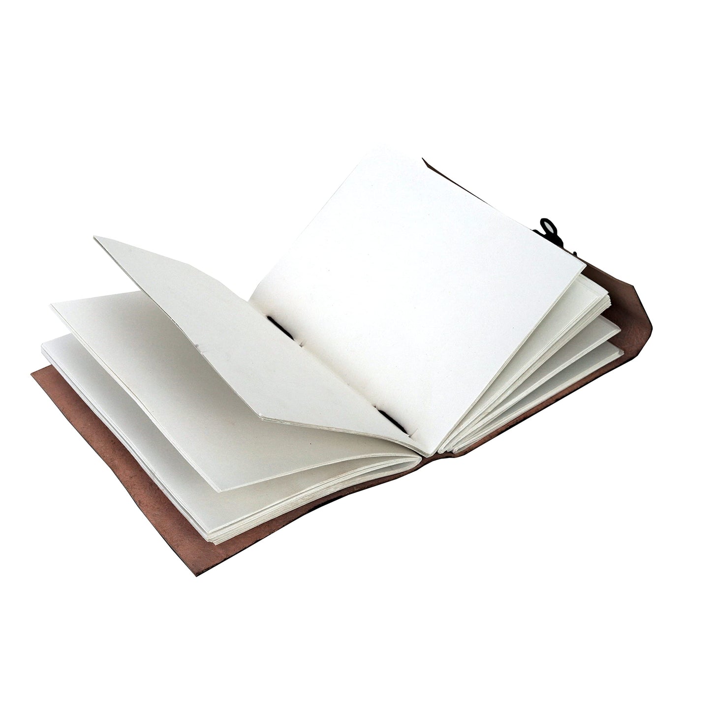 AzureGreen DOUBLE DRAGON Blank Page BOOK Handcrafted Leather Writing Unlined 5 x 7 JOURNAL (MEDIUM, Brown With Claps)