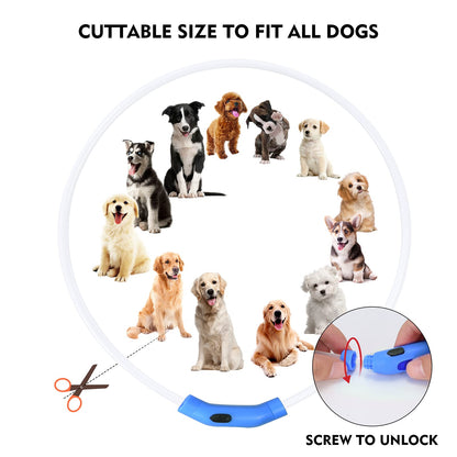NOVKIN LED Dog Collar, Rechargeable Light Up Dog Collars,IP67 Waterproof Dog Lights for Night Walking，Adjustable, Reusable Safety Necklace for Small Medium Large Dogs (Red)