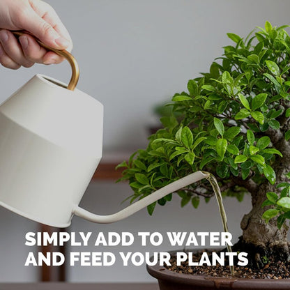 Bonsai Fertilizer – Liquid Plant Food for Healthy Growth, Vibrant Foliage & Stronger Root Development, 8 oz