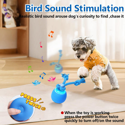 Saolife Interactive Dog Toys, Moving Dog Ball with Touch Activated, Active Rolling Ball for Puppy and Medium Dogs, Squeaky, USB Rechargeable