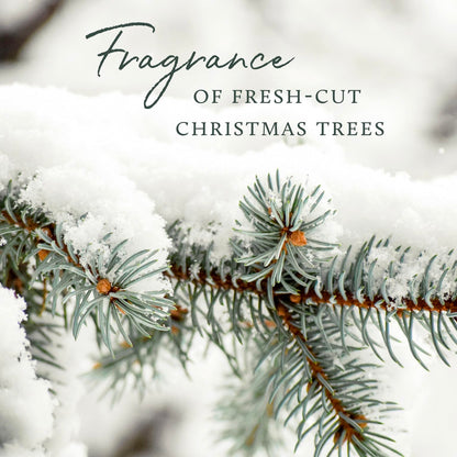 Thymes Frasier Fir Reed Diffuser Set – Includes Reeds, Fragrance Oil, and Frosted Glass Bottle – Fragrance Oil Diffuser – Room Fresheners – Luxury Home Decor – Green & Clear (Pine Needle, 4 fl oz)